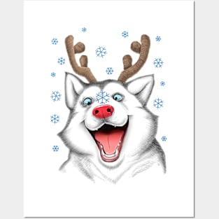 Husky Rudolph Posters and Art